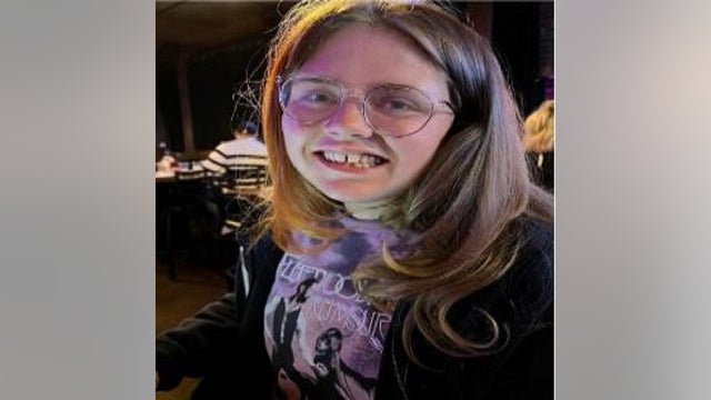 Missing woman last seen getting out of mother's car while sitting in traffic