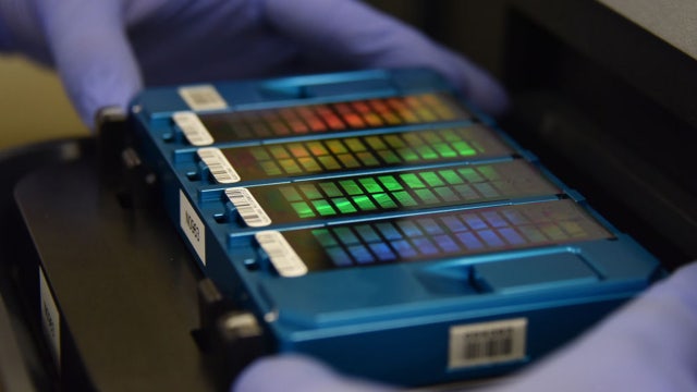 Scientists sequence first-ever complete human genome
