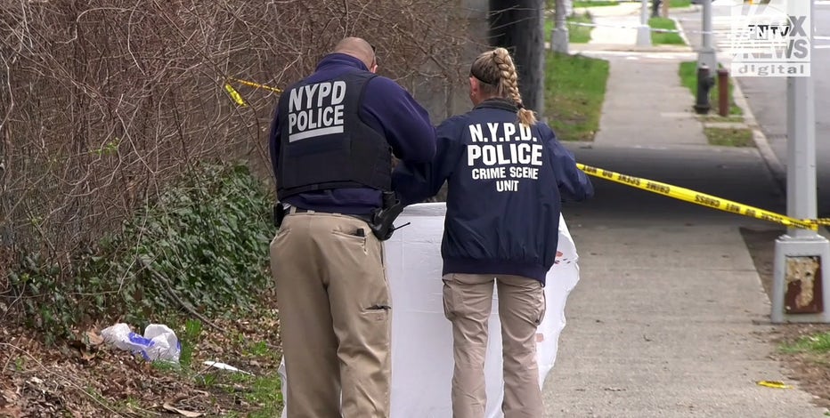 New york woman stabbed 60 times