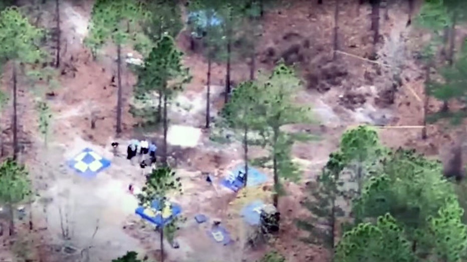 This low-quality image shows the large area the GBI was combing over for evidence in a pecan grove in Ben Hill County in February 2017. (FOX 5)