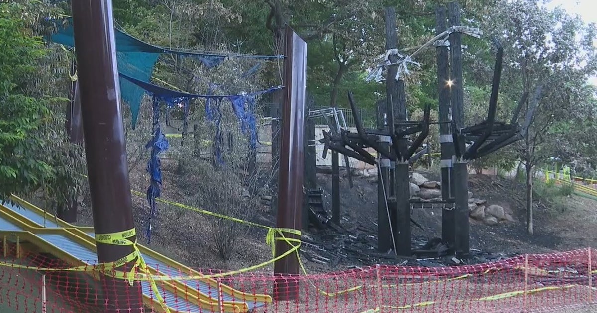 Nearly $20,000 raised to rebuild Chastain Park treehouse destroyed in ...