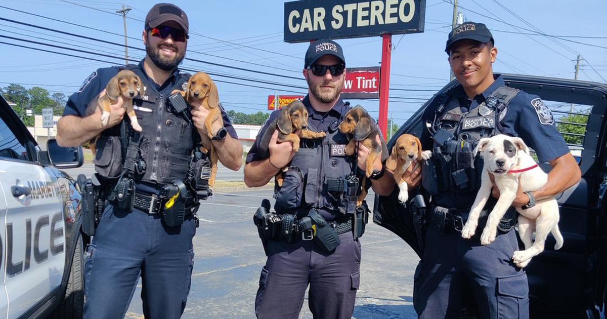 Marietta officers rescue puppies loose on Cobb Parkway | FOX 5 Atlanta