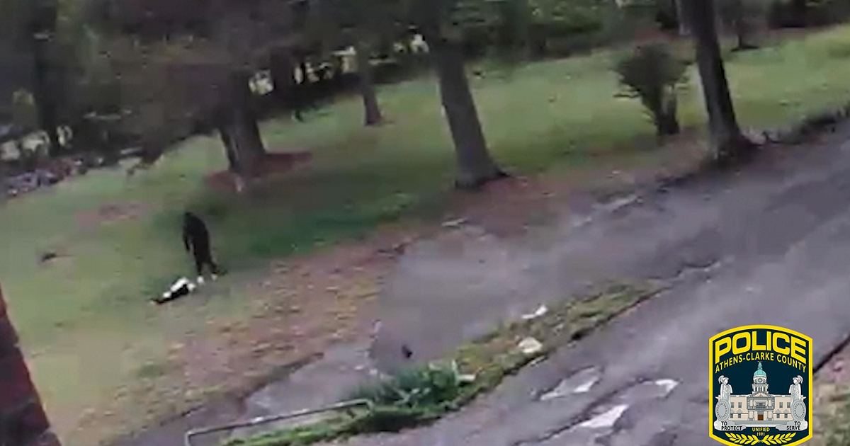 Police searching for man seen in video beating dog in Athens | FOX 5 ...