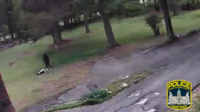 Police searching for man seen in video beating dog in Athens