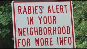 Rabies alert issued for Hall County neighborhood