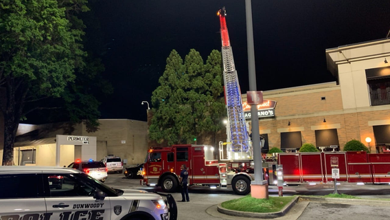 Carjacker tries to evade capture by climbing on roof, Dunwoody police say