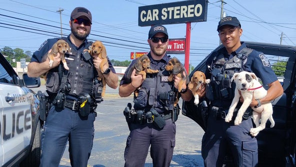 Marietta officers rescue puppies loose on Cobb Parkway