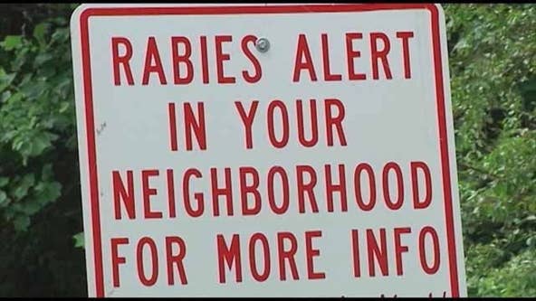 Rabies case in Newnan neighborhood