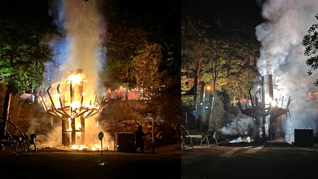 Promises to rebuild Chastain Park's iconic playground treehouse after blaze