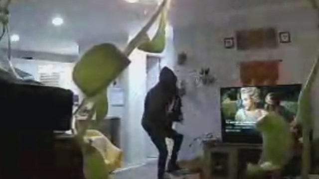 Burglar climbs in through window, leaves with brand-new PlayStation and cash