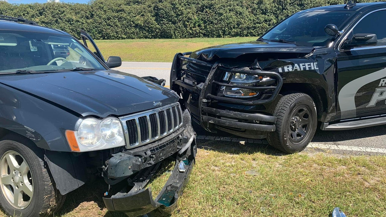 K9 officer stops car driving through parade route with patrol