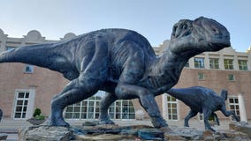 'Jurassic' films come to life inside Fernbank Museum