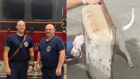 Pickens County firefighters help free dog stuck in old sink