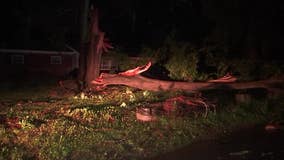 Severe storms knock down trees, power lines throughout metro Atlanta