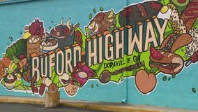 New mural in DeKalb County showcases diversity through food