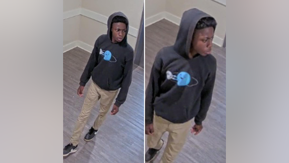 LaGrange police trying to identify robbery suspect