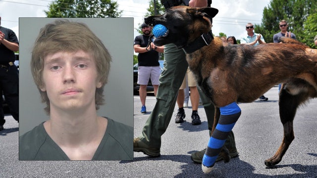 Teen charged with shooting police K9 during arrest held without bond, police say