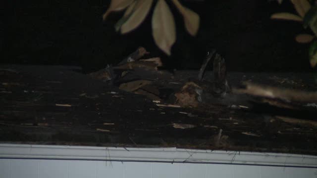 Tree falls on northwest Atlanta home, one resident rescued