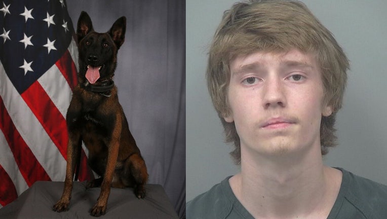 Police said 17-year-old Levi Kennedy Bryan, from Oakwood, shot a K9 during his arrest and is being held at the Gwinnett County Detention Center without bond.