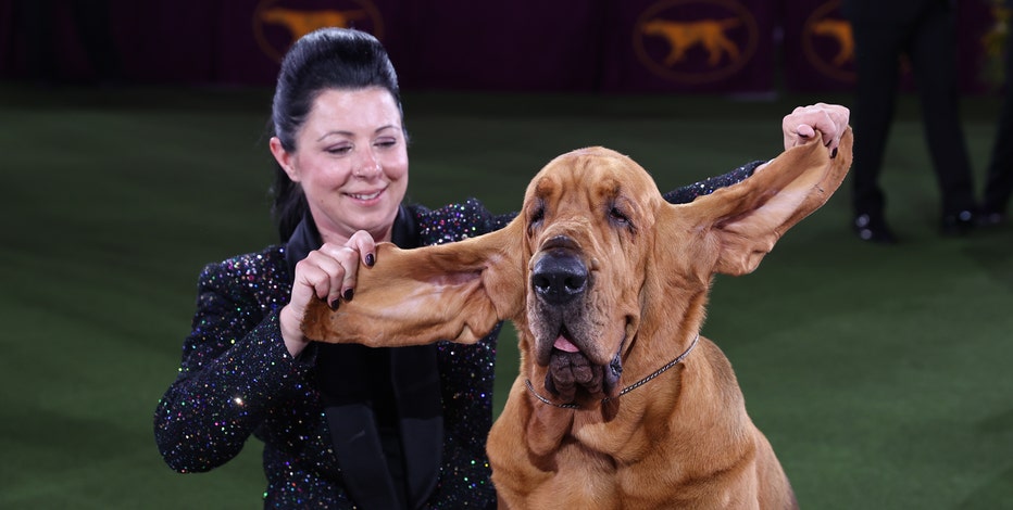 GettyImages-1241467853.jpg?ve=