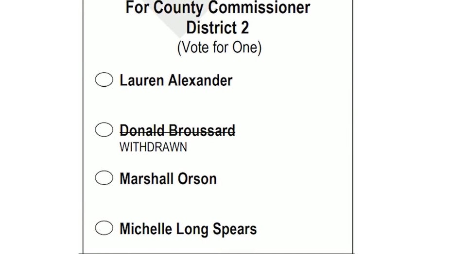 A look at the sample ballot in DeKalb County Commissioner District 2 primary held on May 24, 2022.