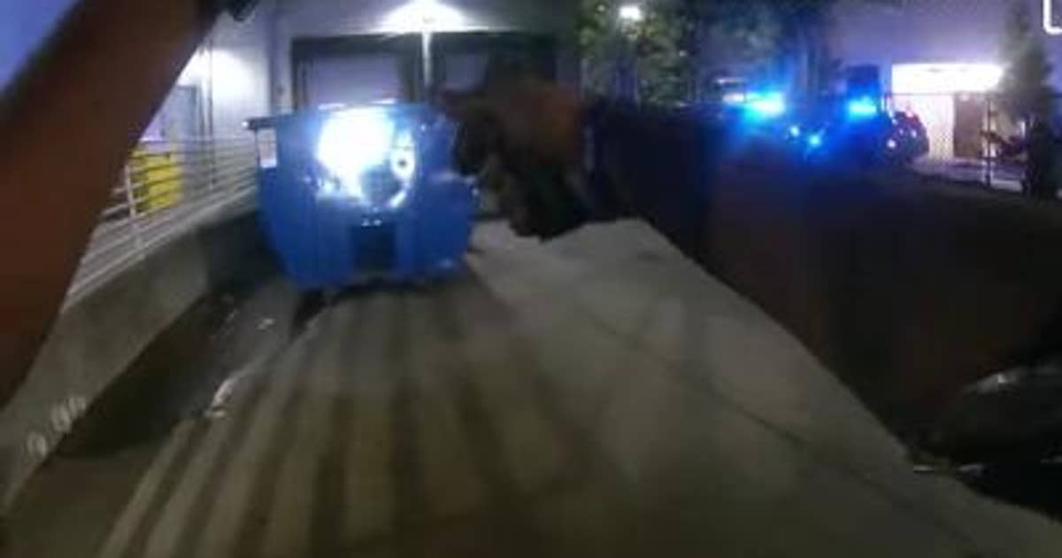 Man caught in act of committing crime, police say | FOX 5 Atlanta