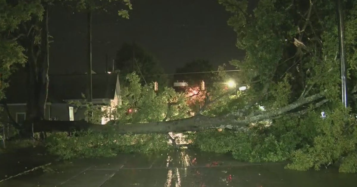 Storms leave behind mess across Metro Atlanta | FOX 5 Atlanta