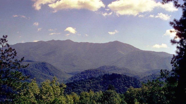 Georgia girl killed by falling tree while camping in Tennessee park