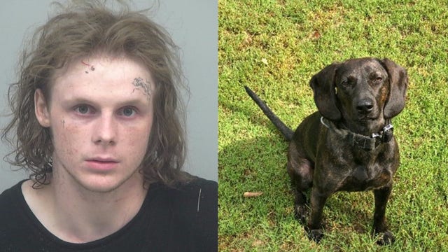 New Gwinnett Police K9 catches wanted man hiding in chicken coop