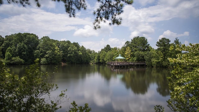 This is how much money you need to make to be happy living in Georgia, survey finds