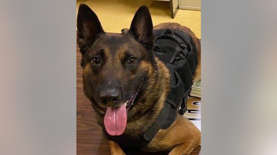 Floyd County Sheriff's K9 Drago was killed during a shootout with a suspect in eastern Kentucky on June 30, 2022.