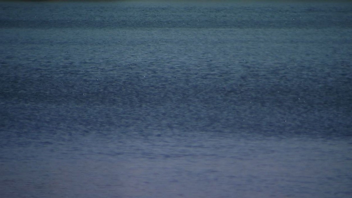 5-year-old reportedly drowns in pool in Butts County