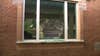 Person smashes Smyrna Police Department windows during 'mental health crisis'