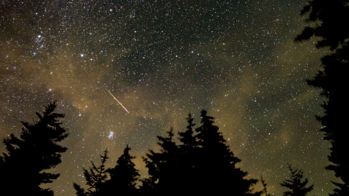 Perseids meteor shower peaks tonight: Georgia viewing guide