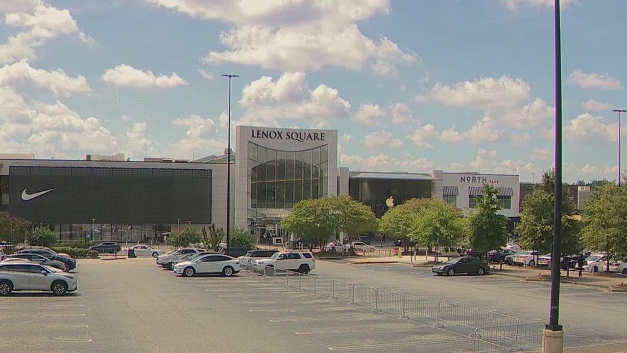 Woman targeted by mugger for Louis Vuitton at Atlanta mall