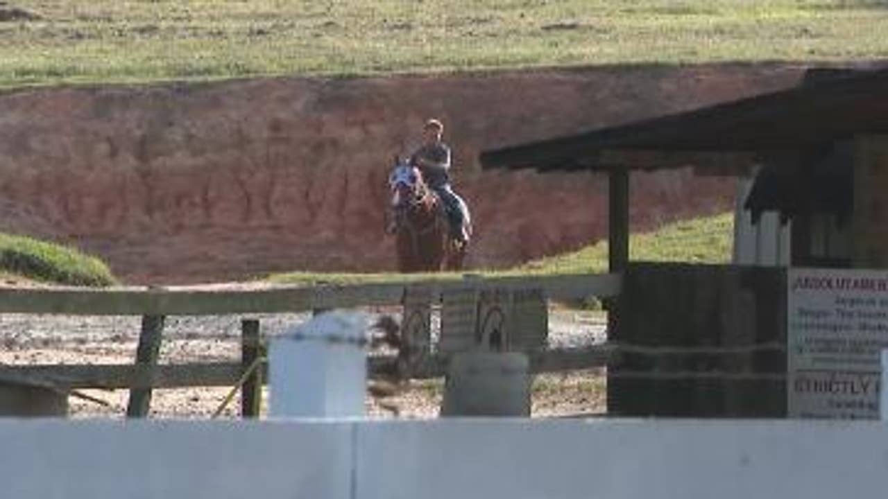 Allegations of animal cruelty at Georgia horse track