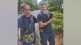 Roswell firefighters rescue kittens trapped in storm drain