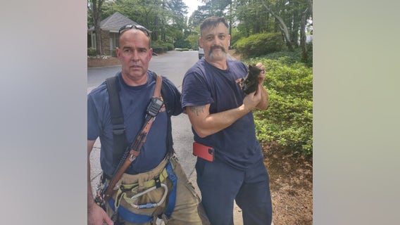 Roswell firefighters rescue kittens trapped in storm drain