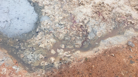 Holding your nose when your hands are tied; Local pols complain about stinky state rules