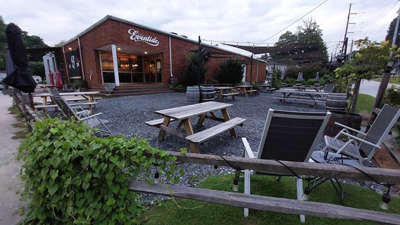 Atlanta brewery gets tails wagging with puppy party