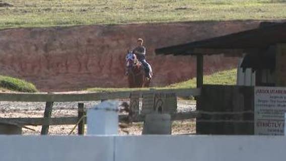 Allegations of animal cruelty at Georgia horse track