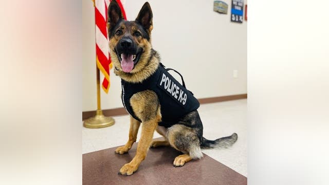 Rockmart City Police Department K9 receives donation of body armor