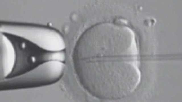 Atlanta fertility specialist breaks down IVF