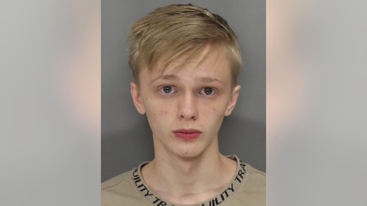 Baby Porn - 19-year-old charged with possessing, distributing child porn
