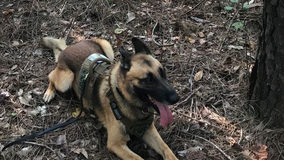 Missing 95-year-old woman found by Coweta County police dog