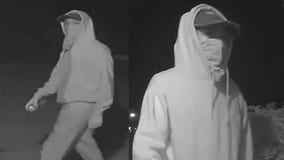 Police: Suspect caught on camera vandalizing Stockbridge home multiple times