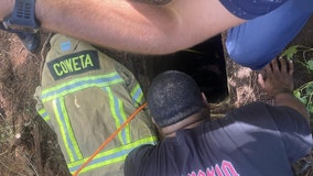 Coweta County firefighters pull dog from abandoned well