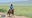Mongol Derby: Georgia man takes part in world's longest horse race