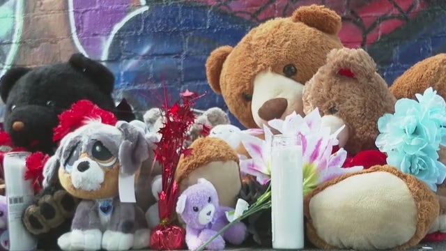 Police say pellet gun used in Atlanta man's murder, family looking for answers
