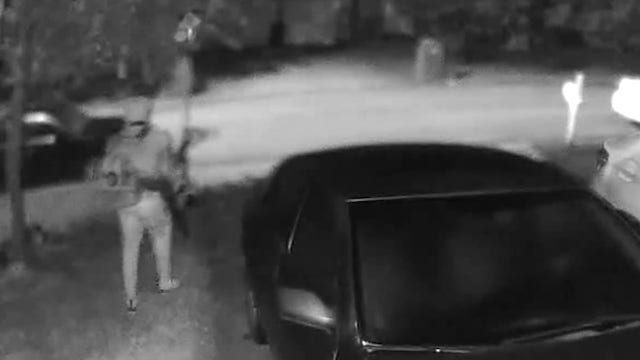 Thieves caught on camera walking off with professional lawn equipment